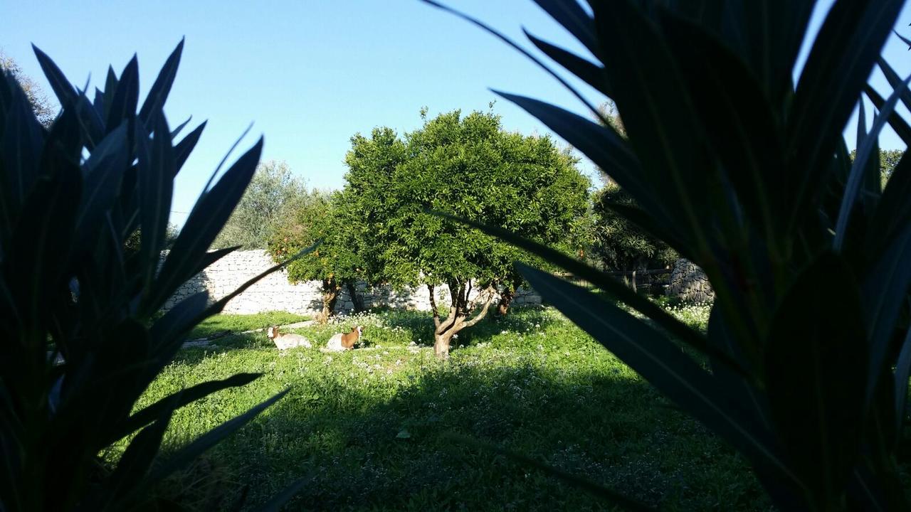 Valata Minusa Country Resort Cannizzara 外观 照片